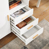 SoBuy Mobilt arkivskåp kontorsskåp Mobilt arkivskåp Skrivarstativ ASK07-WN