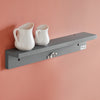SoBuy Fällbart väggbord klaffbord Väggbord Barbord Matbord Köksbord FWT20-HG